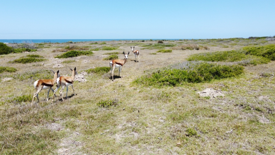 Commercial Property for Sale in Mossel Bay Rural Western Cape